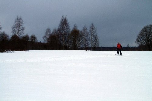 Ski Track 