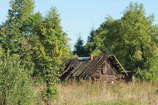Лето