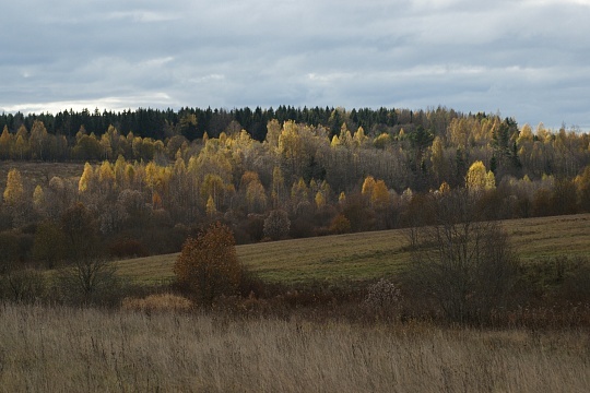 Осень