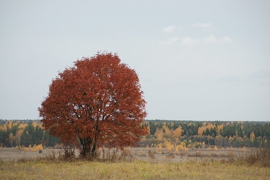 Осень