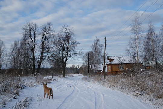 Зима