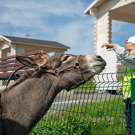 Экоферма с проживанием