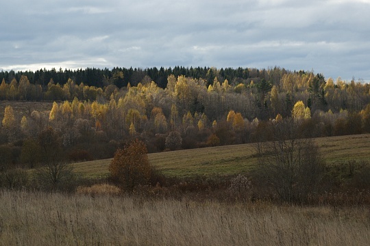 Осень