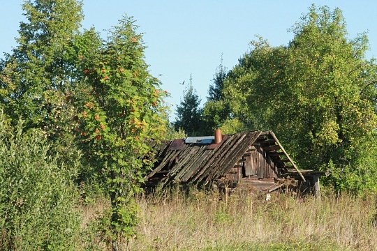 Лето