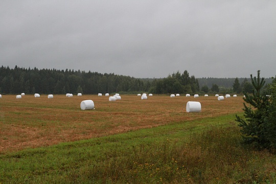 Лето