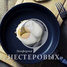 Eggs
