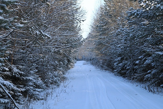 Зима