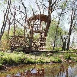 Экотропа