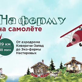 На экоферму на самолёте