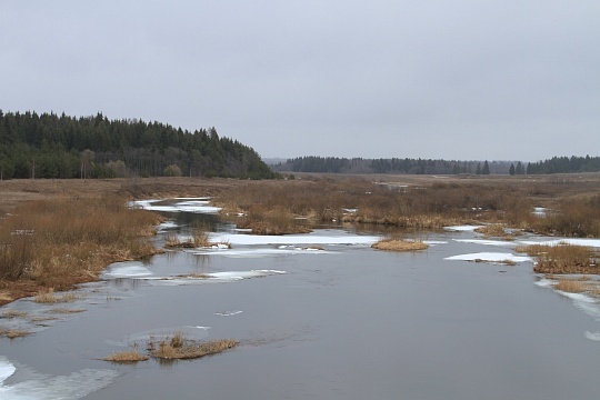Весна