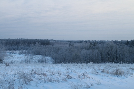 Зима