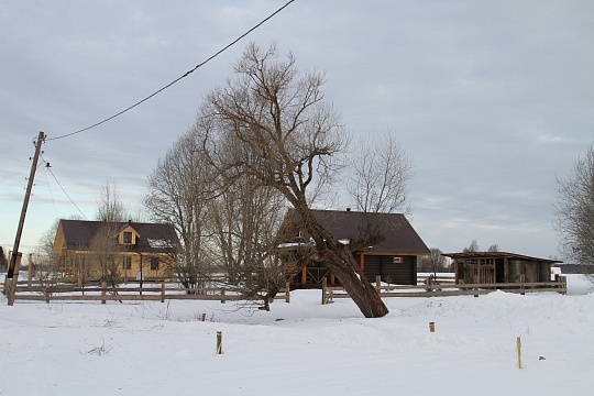 Зима