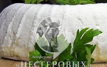 Сыры коровьи