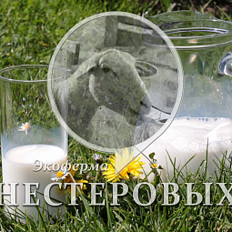 Овечья молочка