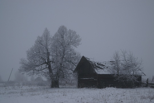 Зима